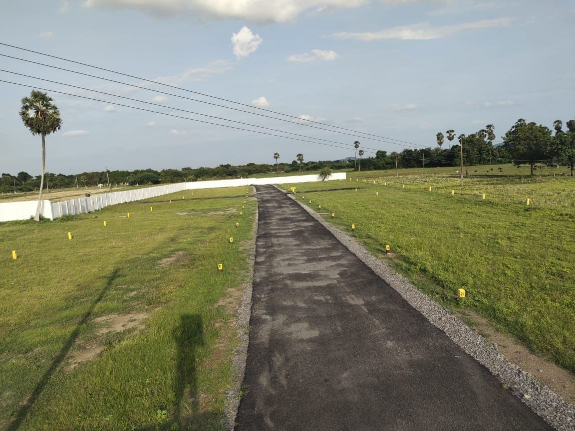 Internal Road View