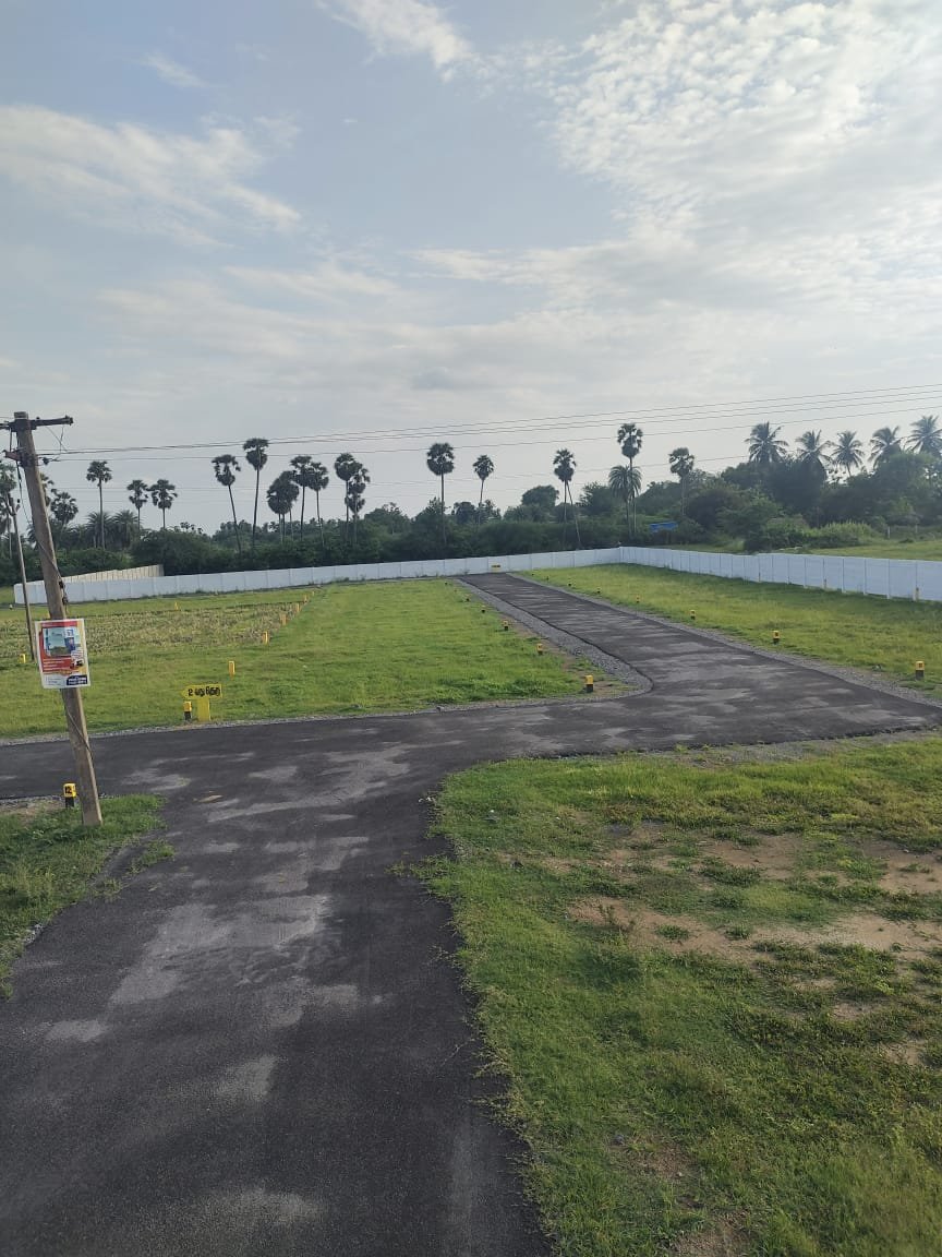 Layout Road and Plots